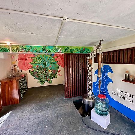 Sea Cliff Eco-Cottages & Gin Distillery Calibishie Exterior foto